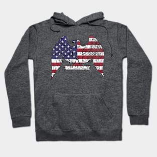 American Eagle Hoodie